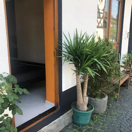 Apartment Seven's I